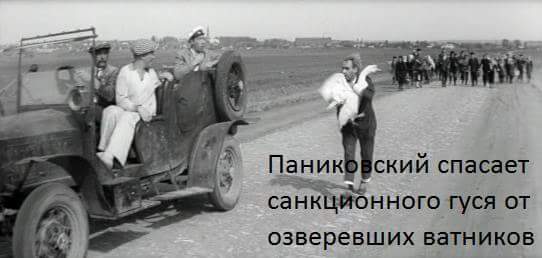 гусь.jpg