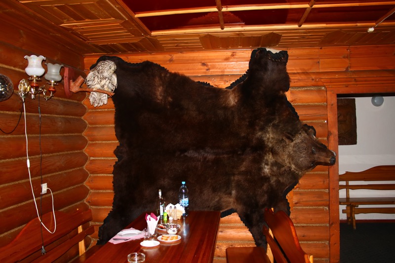 Шкура в столовой, победила на какой то выставке, как самый крупный медведь Вологодских лесов