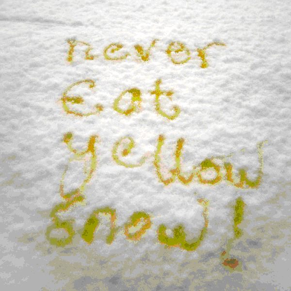 желтый снег.jpg