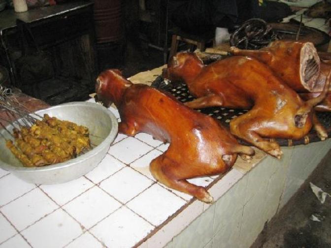 3399295-dog_meat_at_19_12_market_hanoi_vietnam-hanoi.jpg