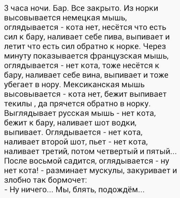 мышь.jpg