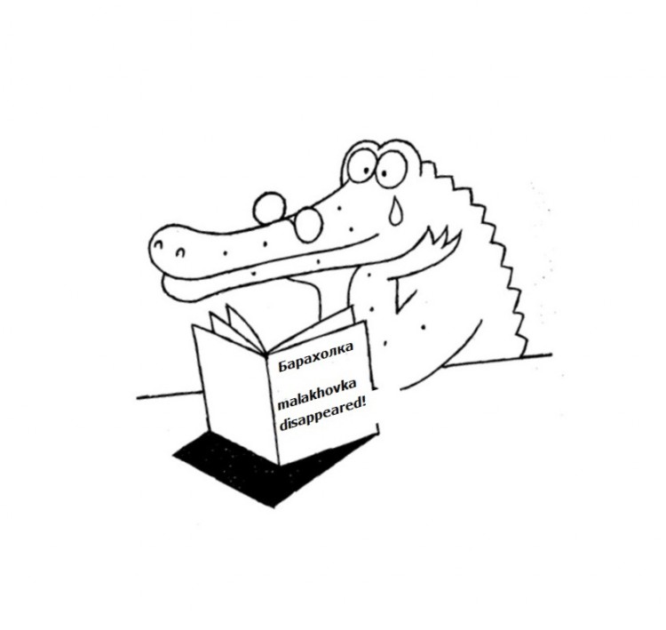 f_49c0b786ce645.jpg