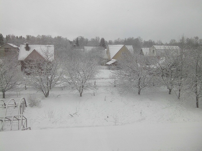 IMG00088.jpg