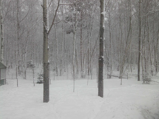 IMG00089.jpg