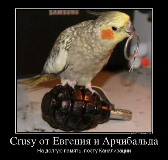 747601_crusy-ot-evgeniya-i-archibalda_demotivators_ru.jpg