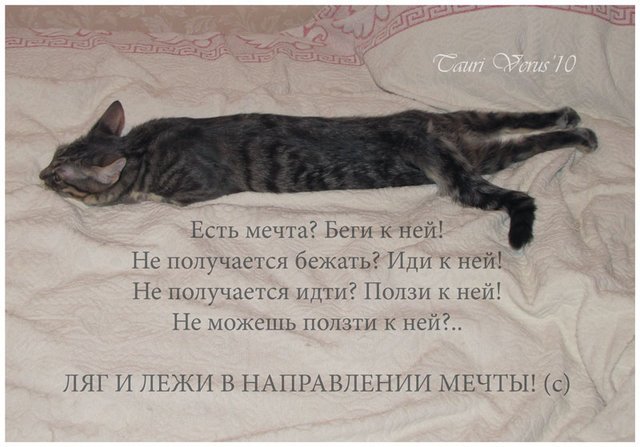 4de2eb235990b5ffdad948daf4f63d77.jpg