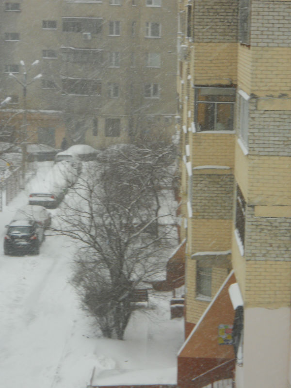24march_.jpg