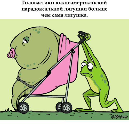 ВСЕ СОВПАДЕНИЯ С РЕАЛЬНЫМИ ПЕРСОНАЖАМИ СЛУЧАЙНЫ.
