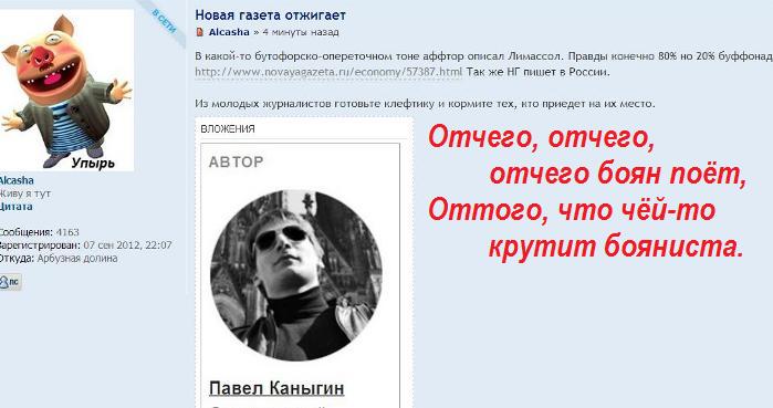 Баян.jpg