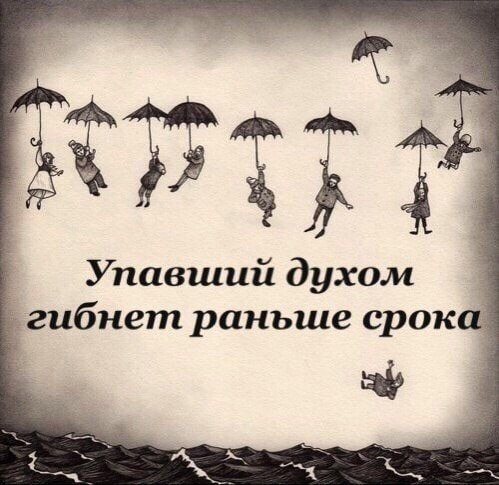 55873DF3-DB10-49BE-97D3-1F9F2ADB44F1.jpeg