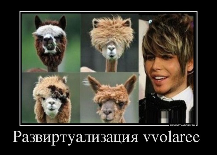 958109_razvirtualizatsiya-vvolaree-_demotivators_ru.jpg