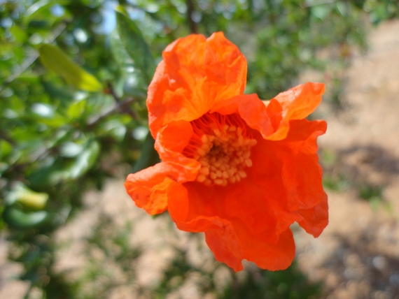 DSC01340.JPG