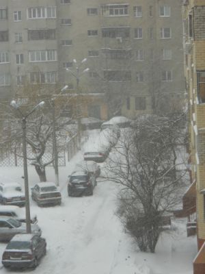 zima.jpg