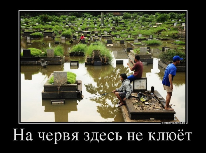 524981_na-chervya-zdes-ne-klyuyot.jpg