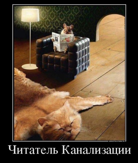 514186_chitatel-kanalizatsii_demotivators_ru.jpg