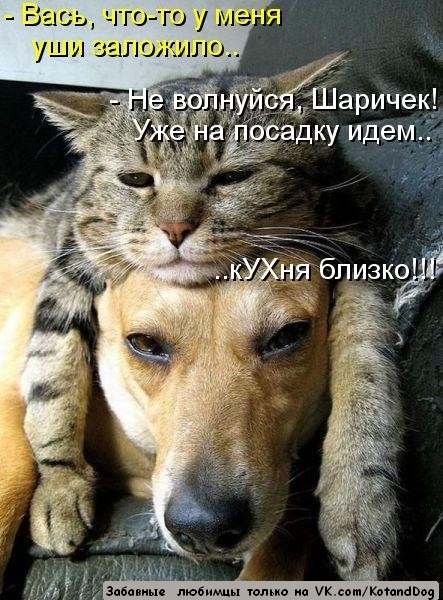 JkGe9ZhlhHU.jpg