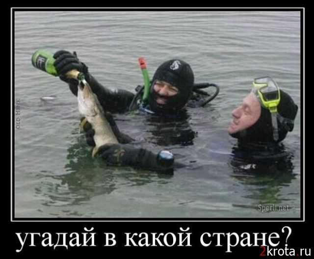 rybalka.jpg