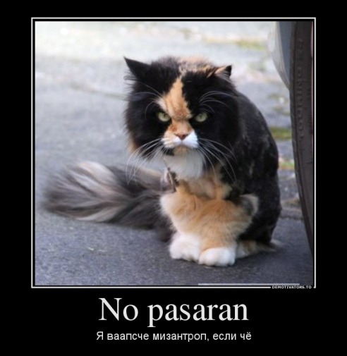 821497_no-pasaran_demotivators_ru.jpg
