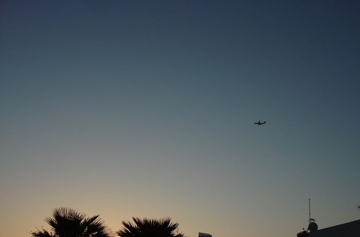 DSC06787.JPG