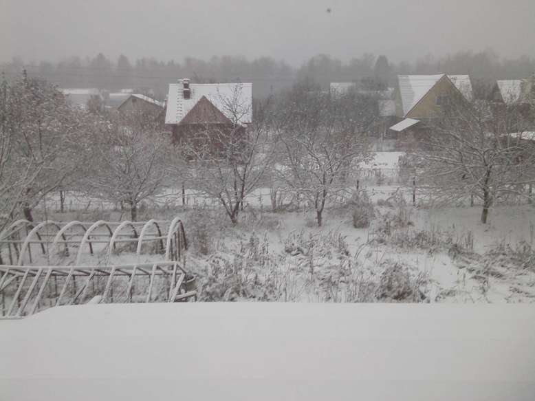 IMG00015.jpg