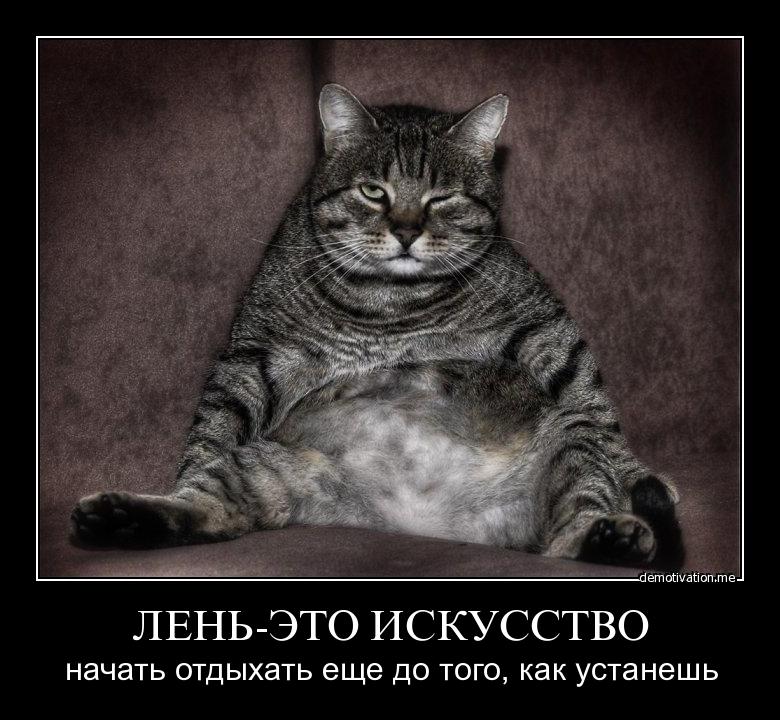 kxdl6w0pskjc.jpg