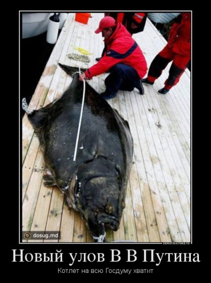 49442_novyij-ulov-v-v-putina_demotivators_ru.jpg