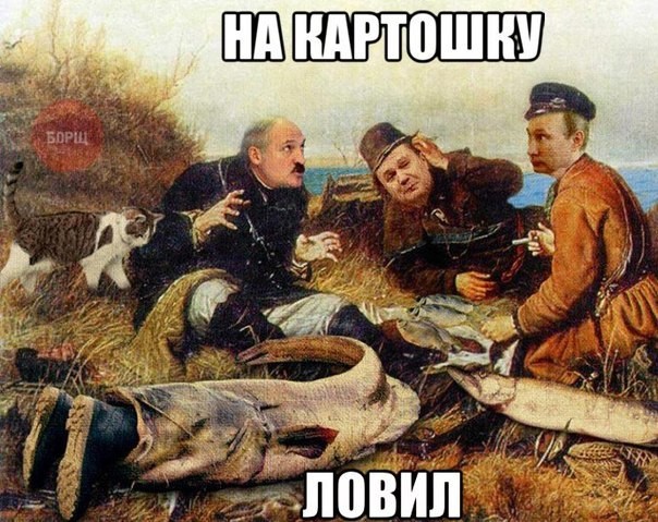 1477450_original.jpg