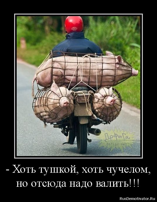 2013090113055479.png