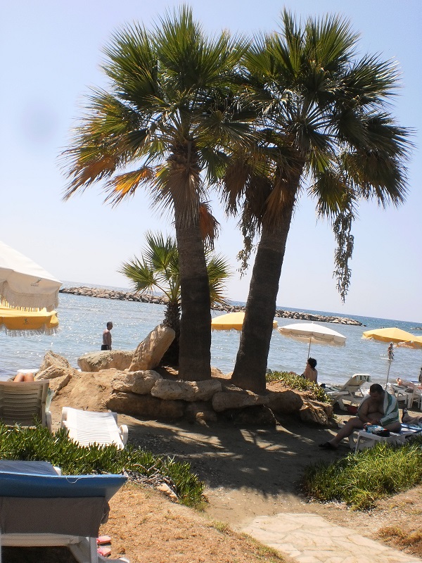 Palm beach.JPG