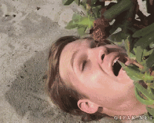 14598_original.gif