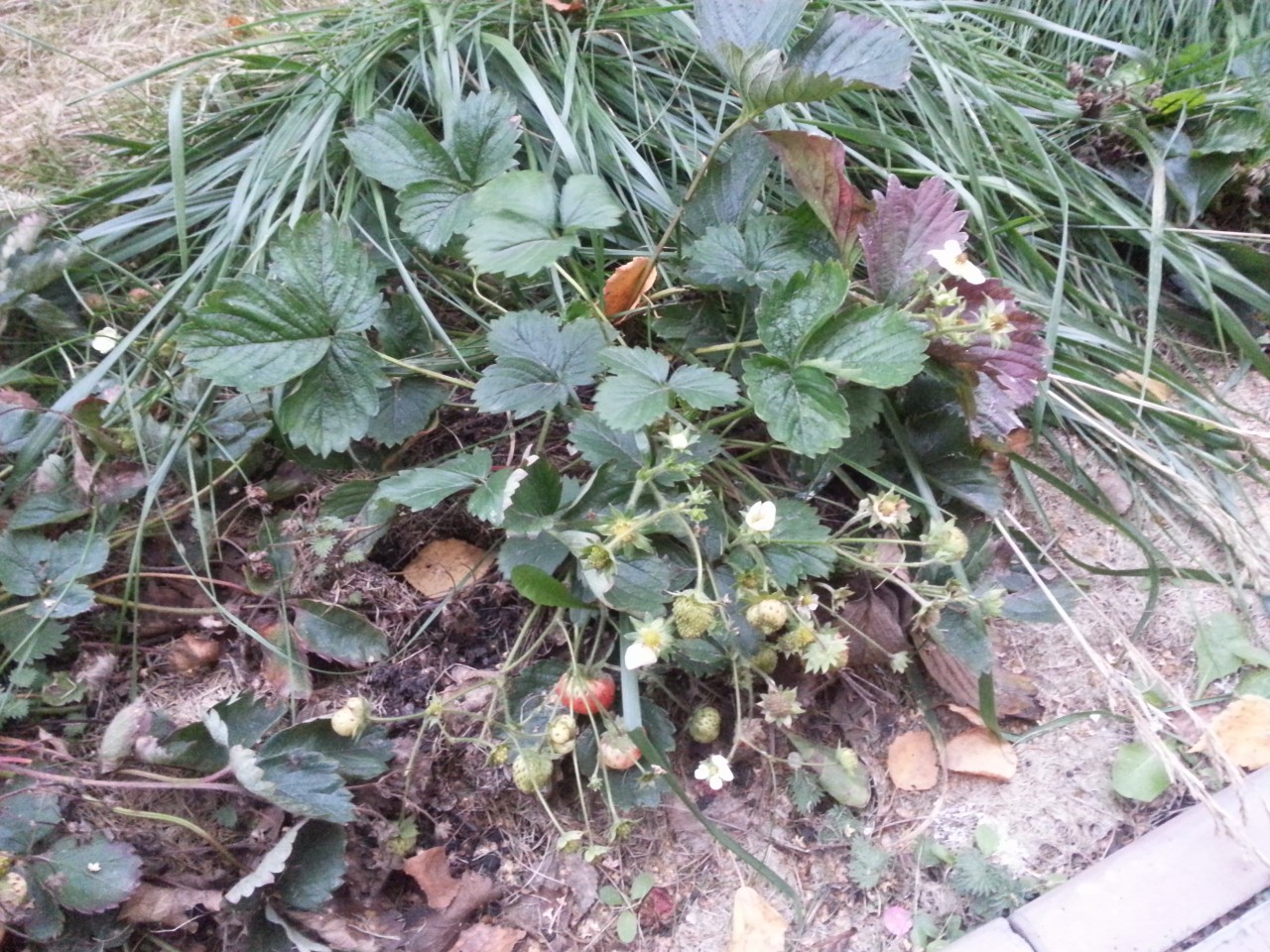 20131005_191132.jpg