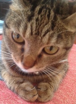 2013-09-26.jpg
