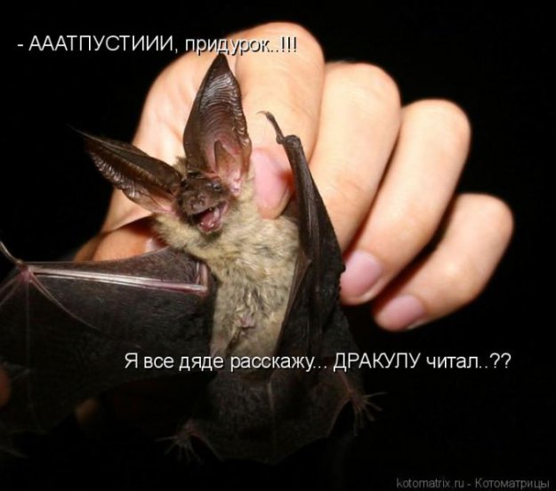 ЯБЕДА