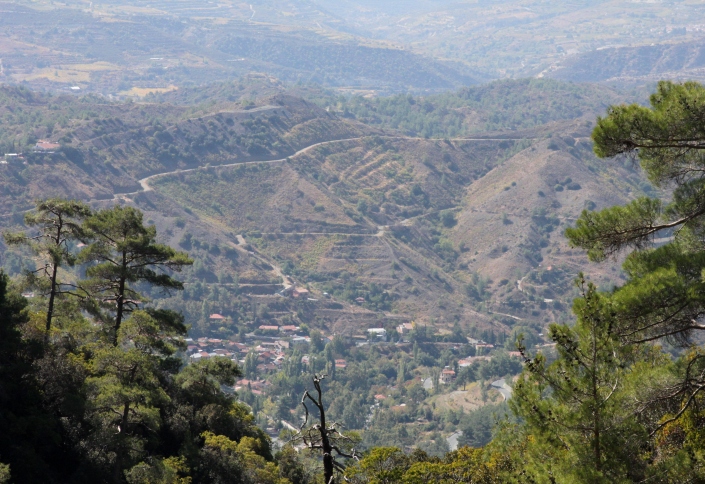 IMG_7055.JPG