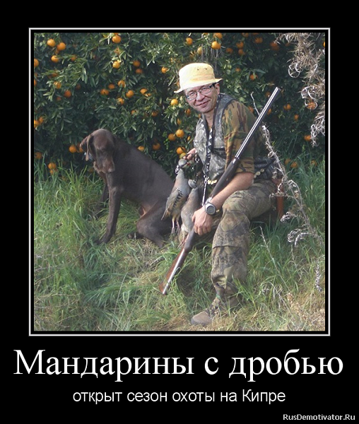 4415033.png