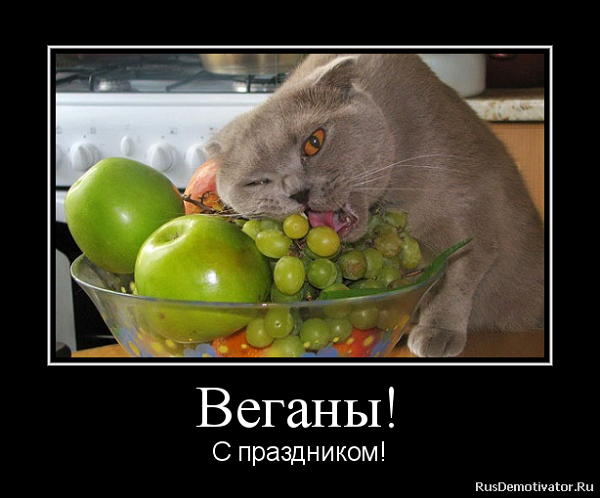 2013110120512523.png