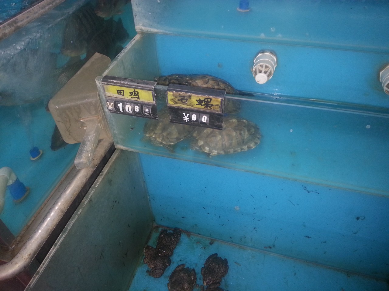20131029_181613.jpg