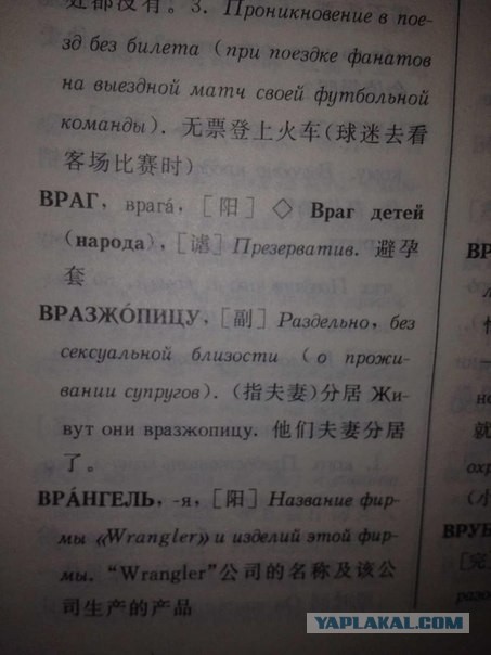 1765205.jpg