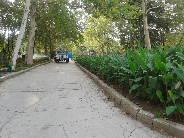 2012-10-01 park.jpg