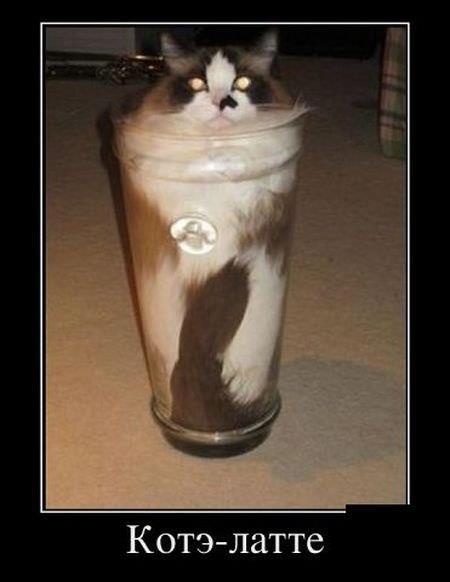 latte-kote.jpg