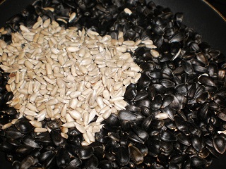 Семки.jpg