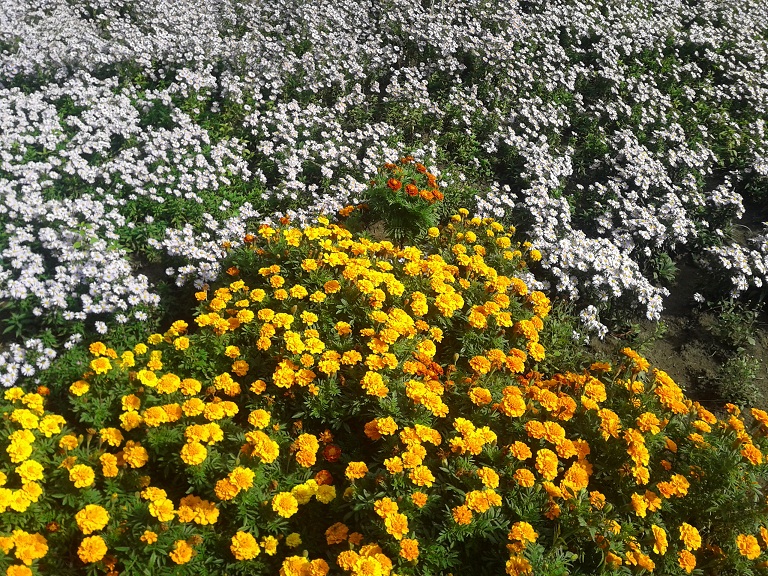 2012-09-30 12.35.36.jpg