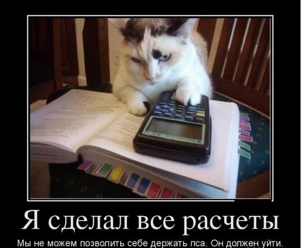 Не пса ,а Униформу.