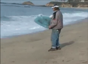 surf.gif