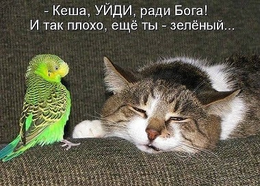 getImage (1).jpg