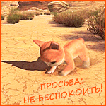 99px_ru_avatar_123890_kotenok_roet_jamku_prosba_ne_bespokoit.gif