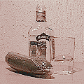avatar_217.gif