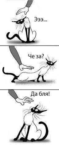 UDI-H3mfots.jpg