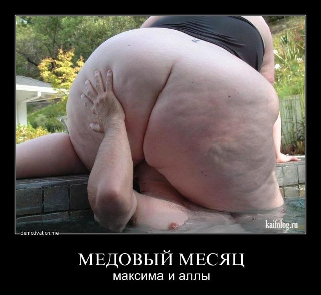 мед мес.jpg