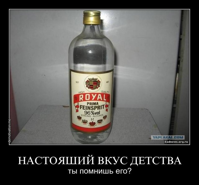 kncrzrr3pohr.jpg